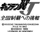 Captain Tsubasa J: zengoku seiha he no chousen